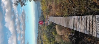 A boardwalk climbing through low scrub on a New Zealand tramping track, with a walker in a red jacket ahead
